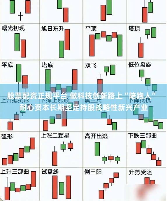股票配资正规平台 做科技创新路上“陪跑人” 耐心资本长期坚定持股战略性新兴产业