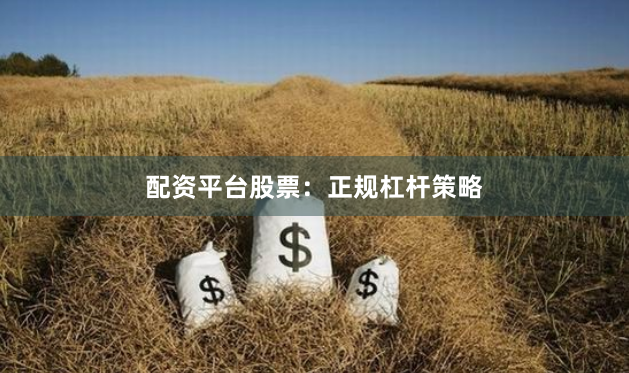 配资平台股票:正规杠杆策略